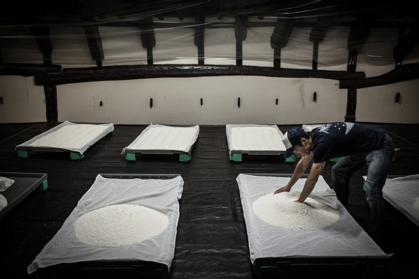 NC18_Culture_Ausstellung The Art of Sake Brewing_02.jpg